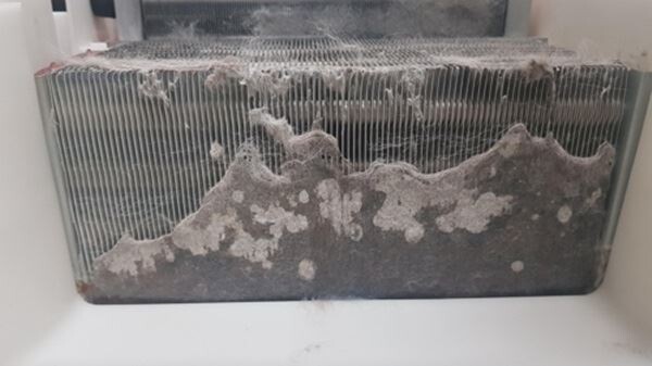 먼지가 낀 LG전자 의류건조기 콘덴서. (사진제공=한국소비자원)