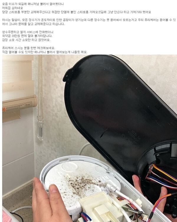 LG전자 건조기 자동 세척 콘덴서에서 지난 7월 이른바 '먼지 낌' 논란으로 품질 이슈가 발생한 가운데, LG전자 퓨리케어 정수기에서 '곰팡이'가 발생하고 있다는 일부 소비자들의 주장이 잇따르고 있어 '생활가전'의 명성에 흠집을 자초하고 있다는 지적이 나온다. (사진출처=SNS, 맘카페)