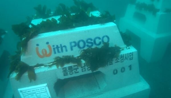 포스코는 이달 중순 해양수산부에서 인공어초(魚礁)로 승인받은 트리톤(Triton) 100기와 트리톤 블록 750개를 울릉도 남부 남양리 앞바다에 수중 설치해 약 0.4ha 규모의 바다숲을 조성했다. 사진은 트리톤 울릉도 수중 안착 모습.[사진제공=포스코]
