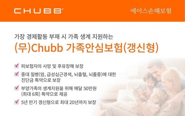 사진=에이스손보