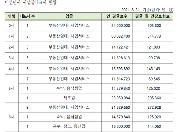 미성년자 사업장 대표 현황 자료=서영석 의원실