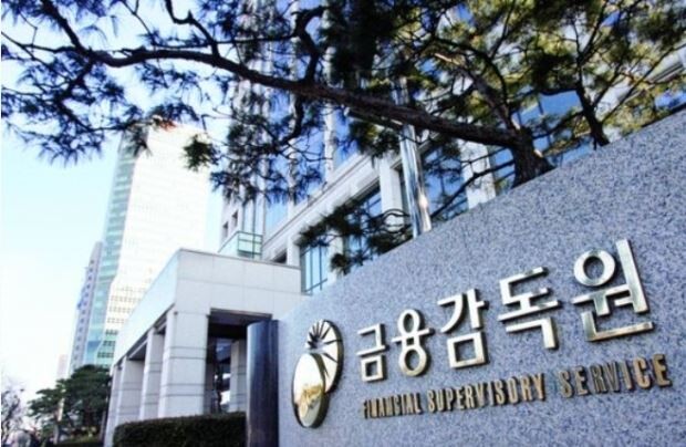 [사진 = 금융감독원]