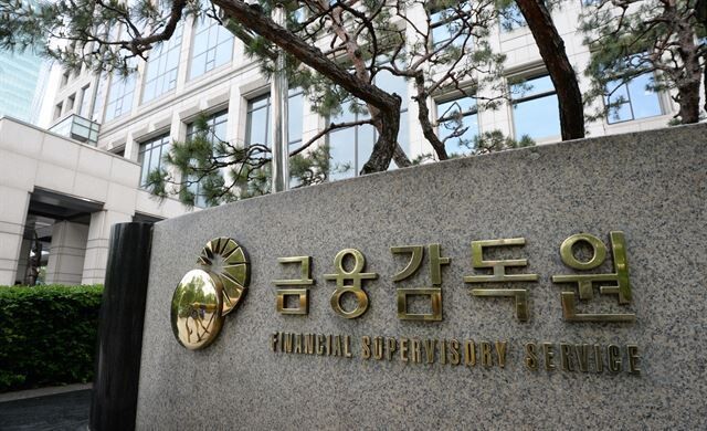 [사진 = 금융감독원]