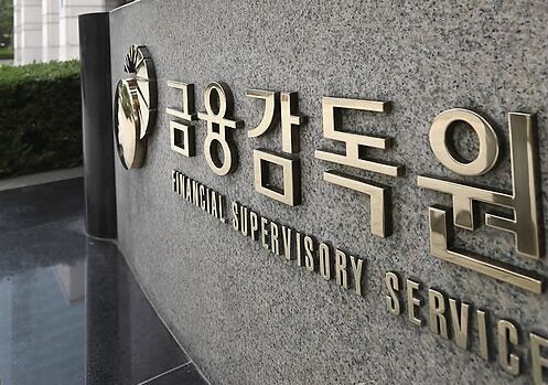 [사진 = 금융감독원]