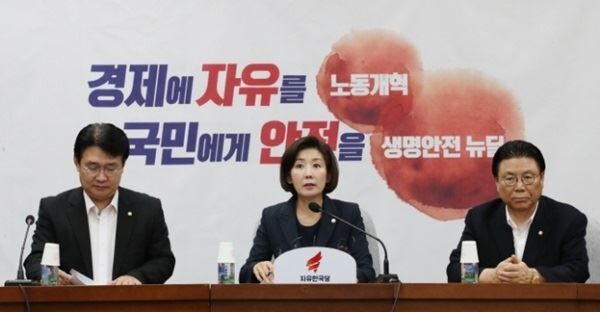 나경원 자유한국당 원내대표. (사진제공=연합뉴스)