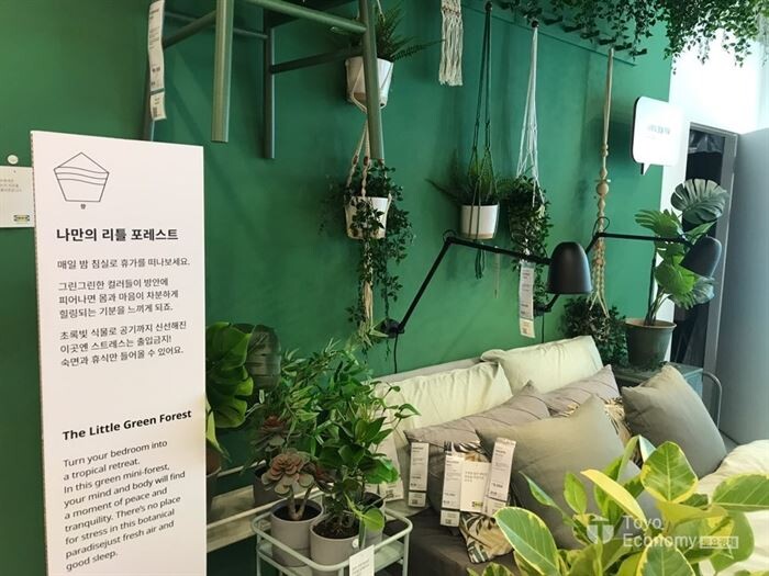 ▲이케아가 서울 강남구 강남역 근교에서 '깨워요, 멋진날' 팝업스토어를 연다. 팝업스토어에서는 사진과 같은 다양한 테마의 침실을 선보인다. 자연친화 콘셉트의 침실인테리어. [사진=김자혜 기자]