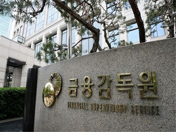 [사진 = 금융감독원]
