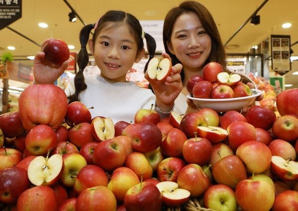 ▲10일 오전, 롯데마트 서울역점에서 모델이 '루비에스 미니사과'를 소개하는 모습.?[사진=롯데쇼핑]